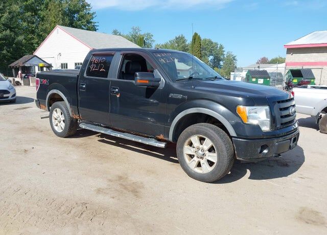 2010 FORD F-150