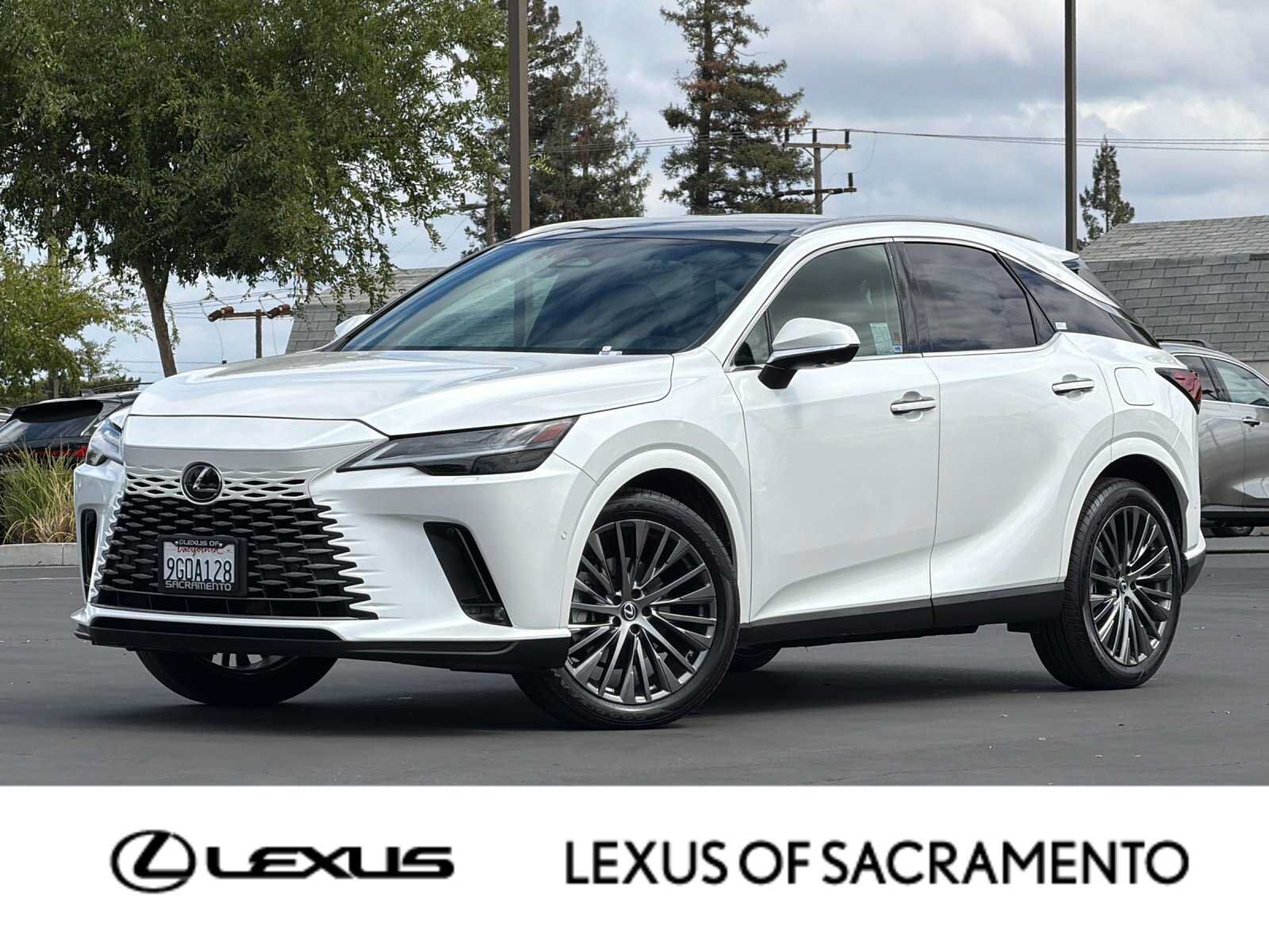 2023 LEXUS RX