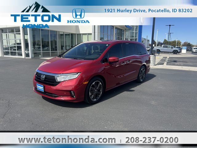 2024 HONDA Odyssey