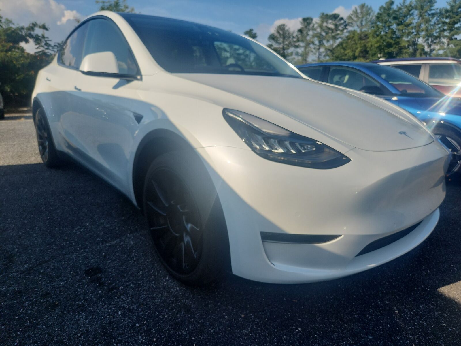 2022 TESLA Model Y