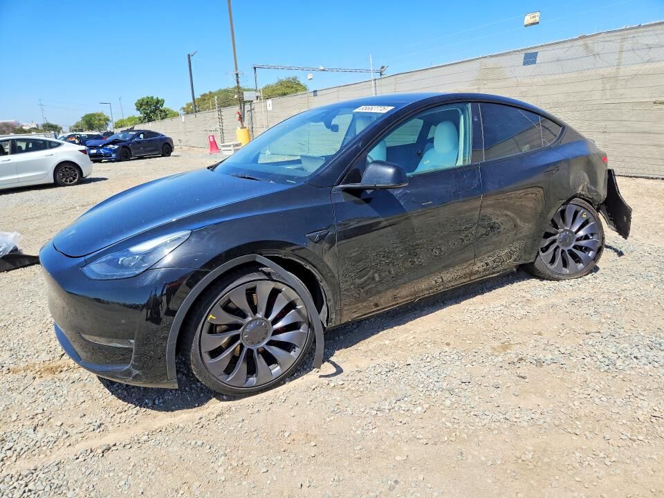 2024 TESLA Model Y