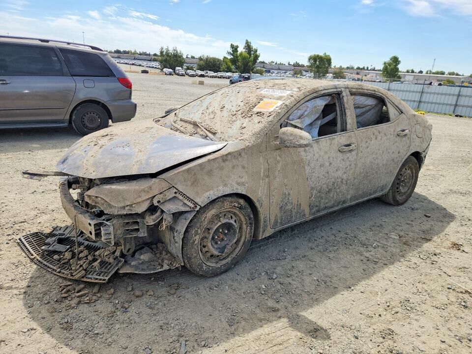 2019 TOYOTA Corolla