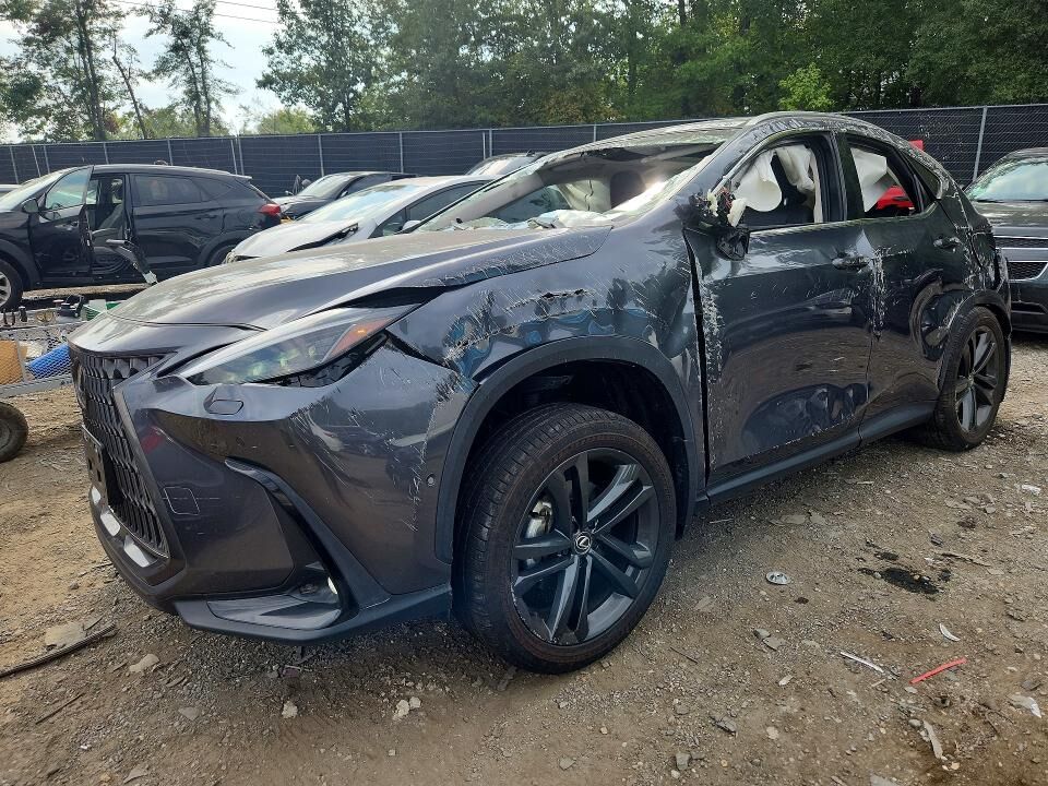 2025 LEXUS NX