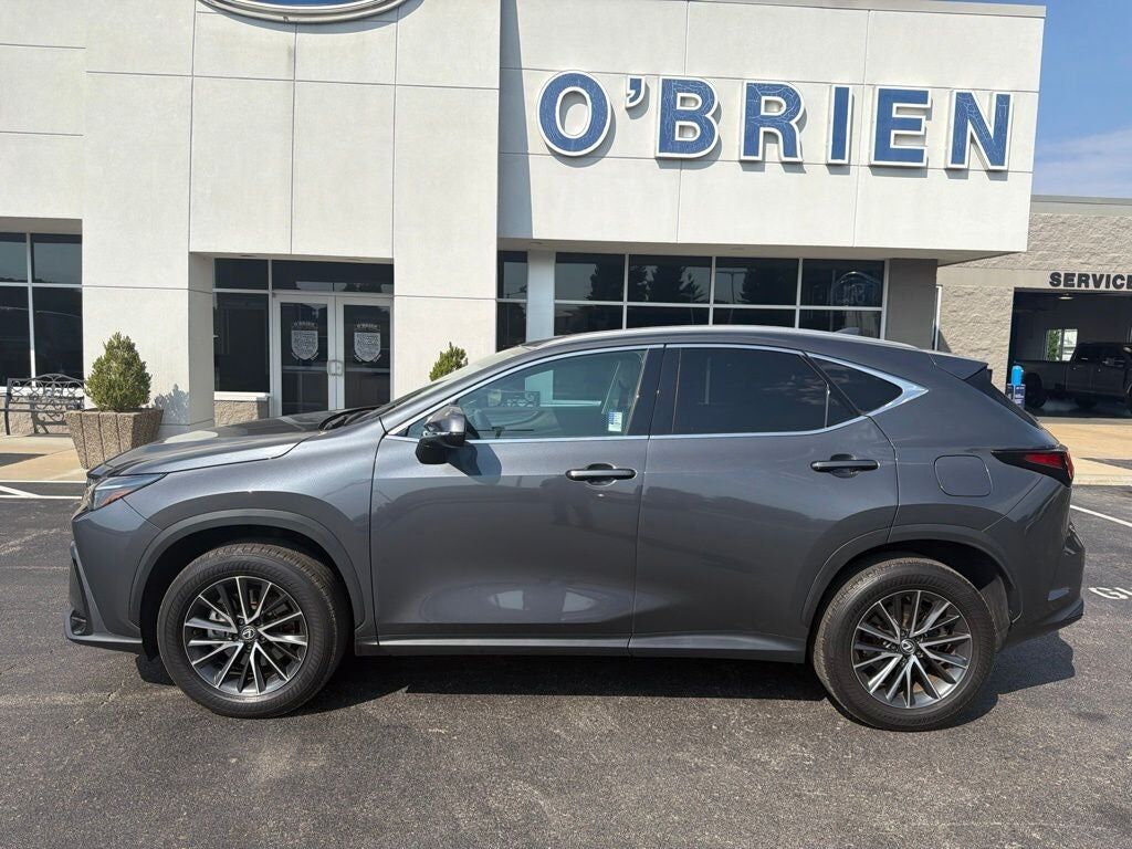 2024 LEXUS NX