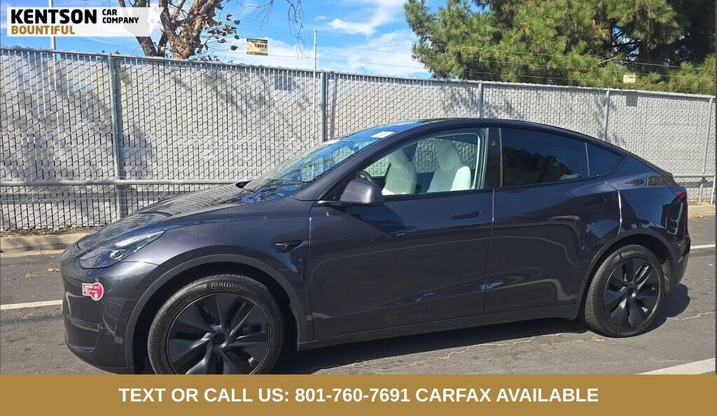 2024 TESLA Model Y