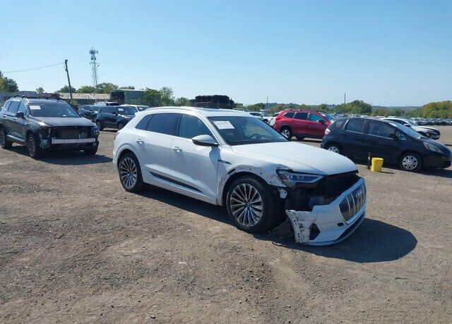 2019 AUDI e-tron