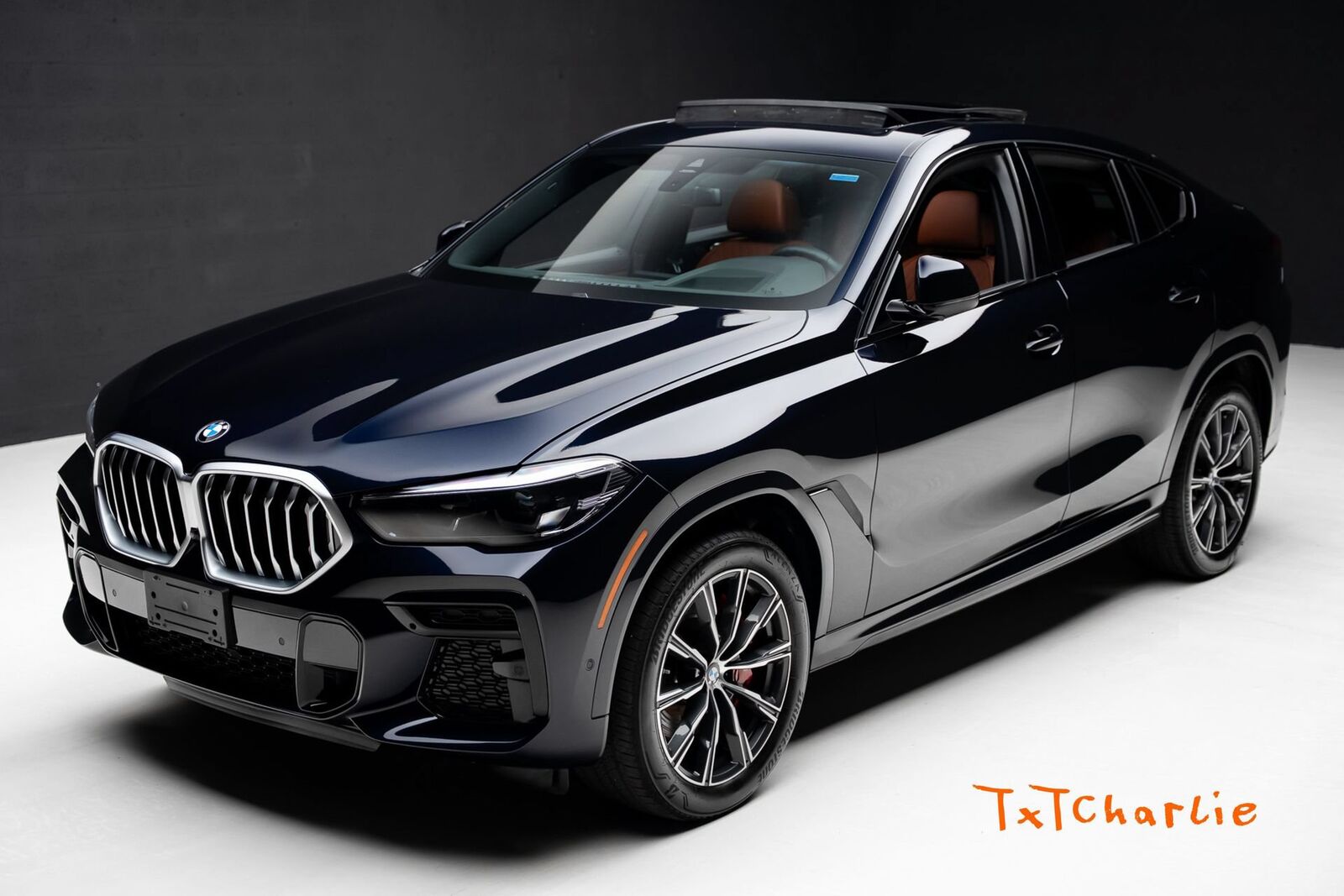 2023 BMW X6