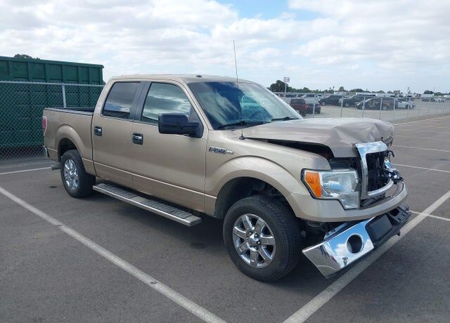 2013 FORD F-150