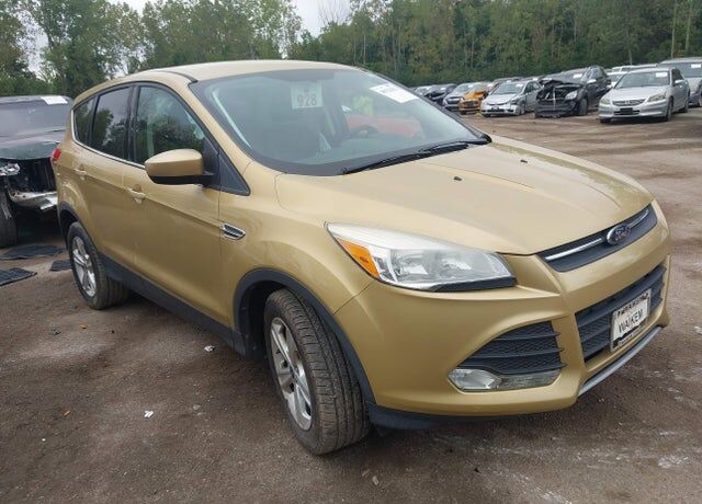 2014 FORD Escape