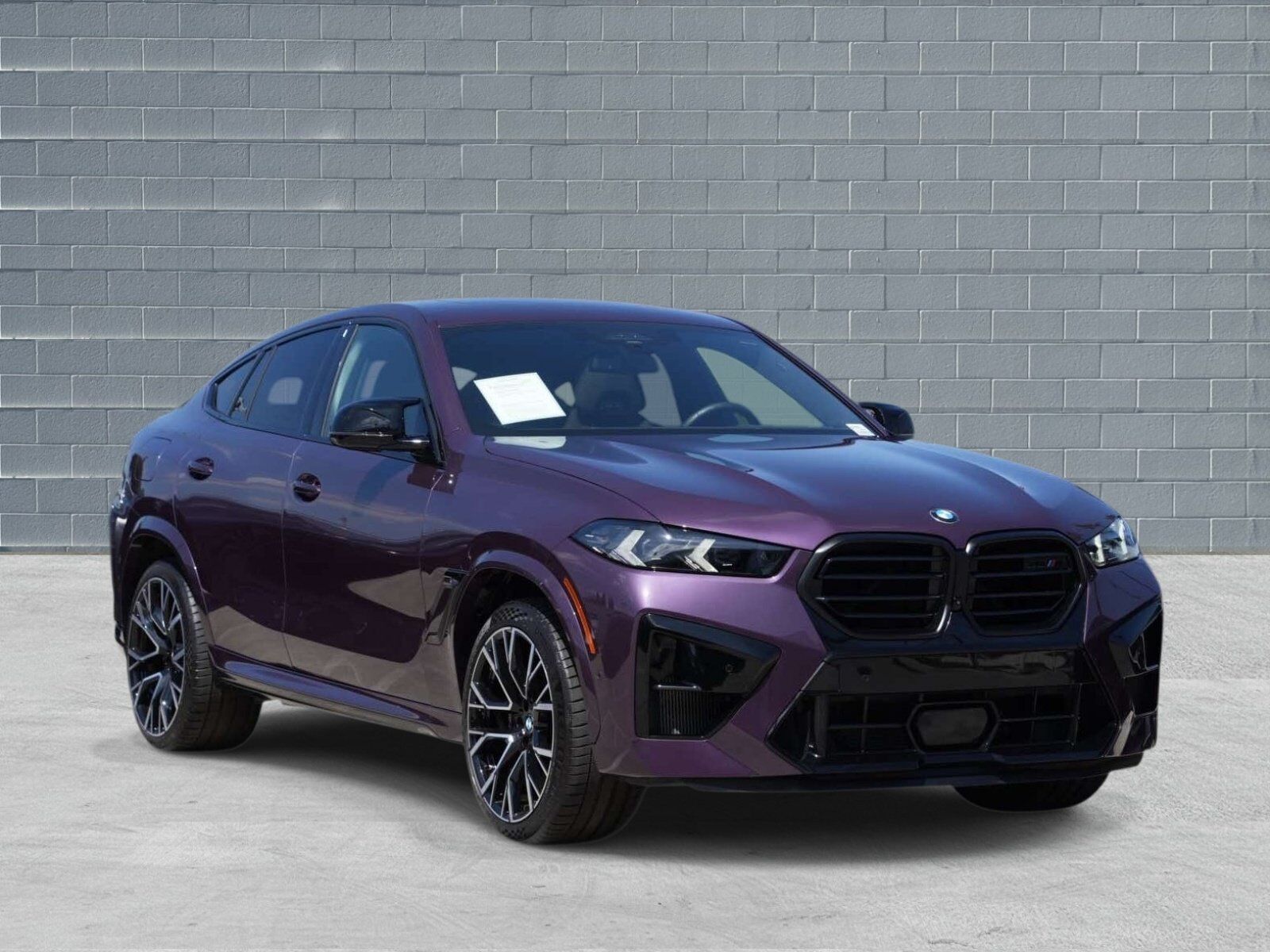 2025 BMW X6