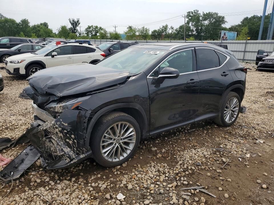 2025 LEXUS NX