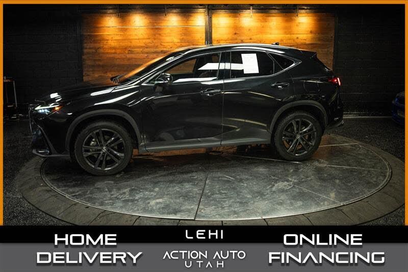 2024 LEXUS NX