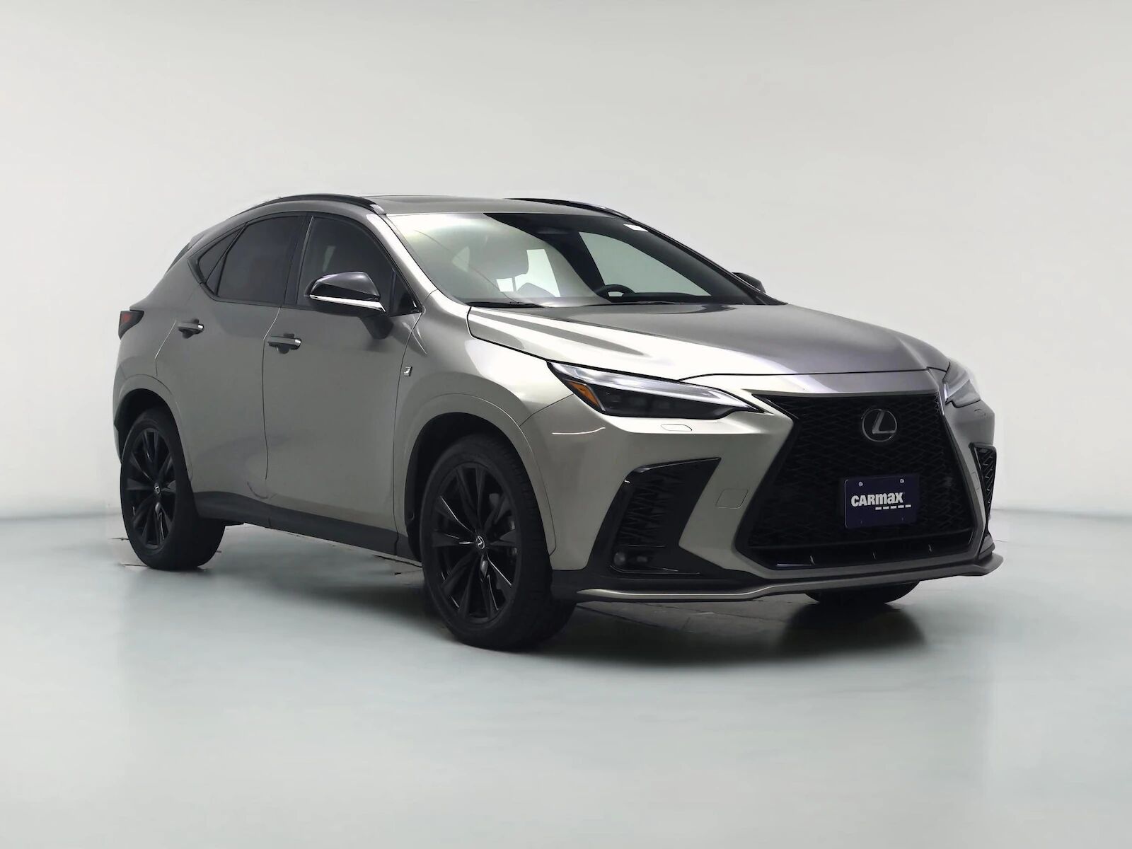 2024 LEXUS NX