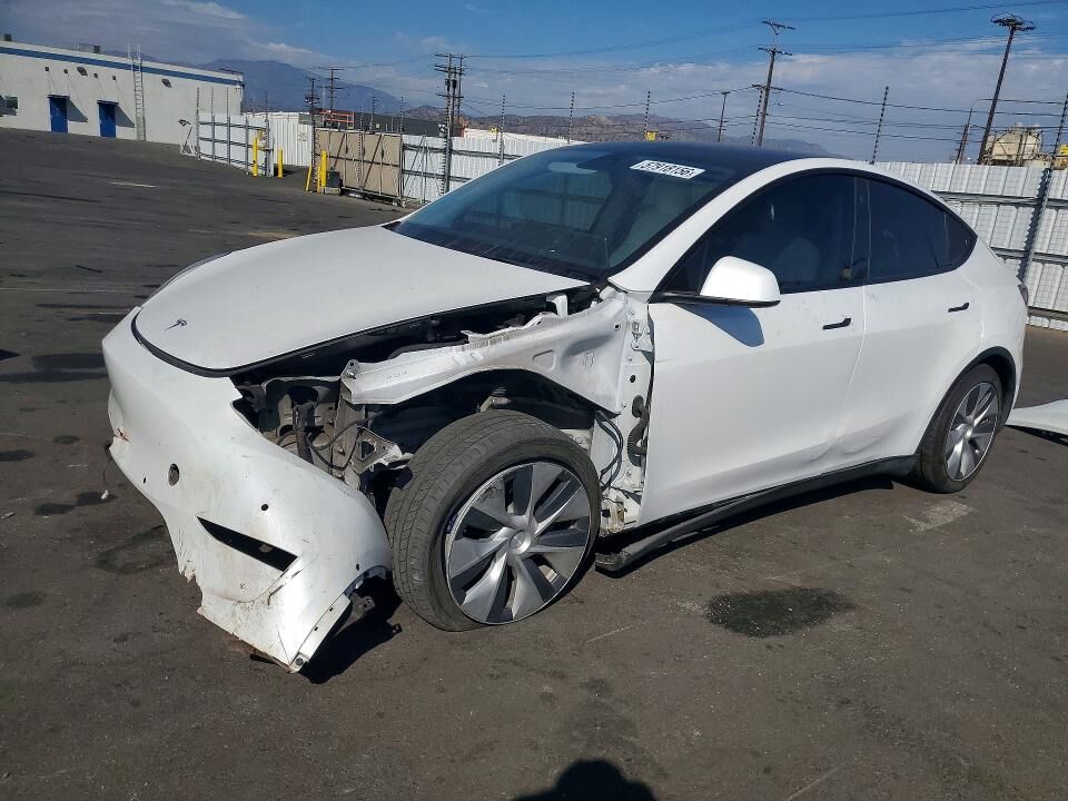 2021 TESLA Model Y