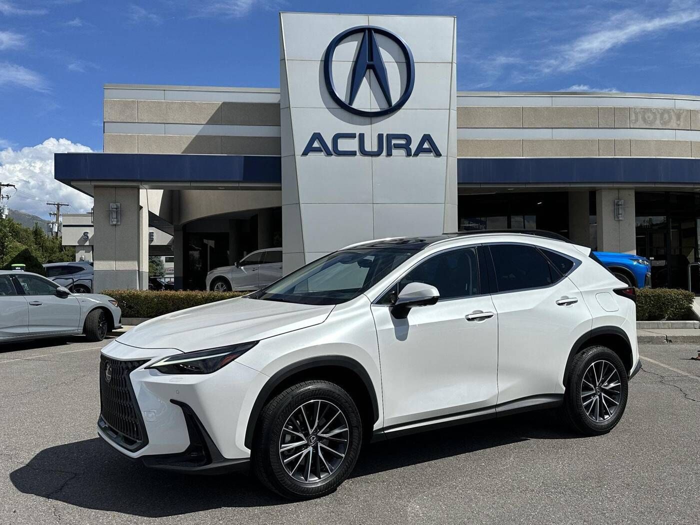 2025 LEXUS NX