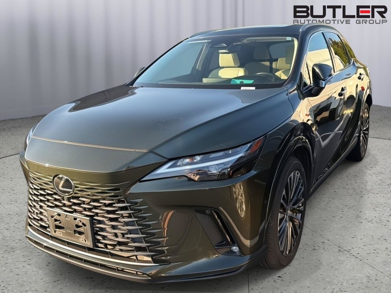 2025 LEXUS RX