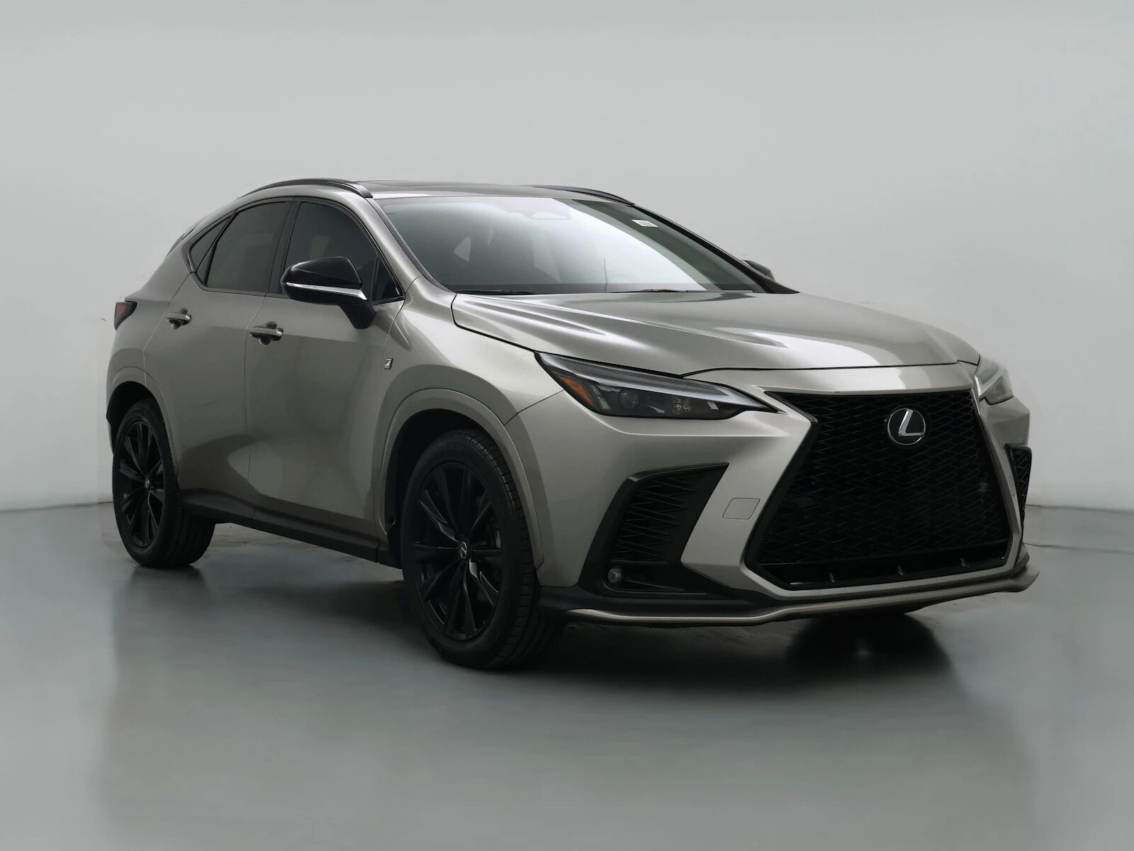 2024 LEXUS NX