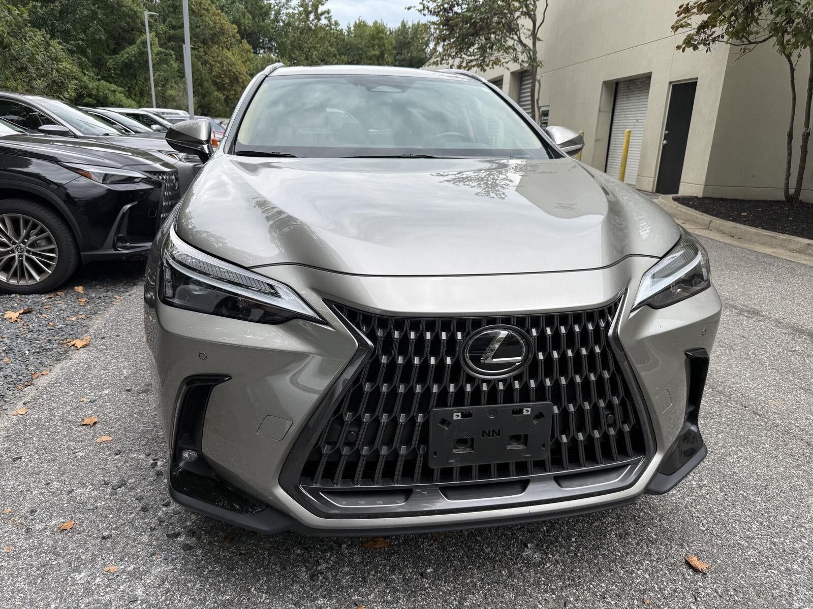 2025 LEXUS NX