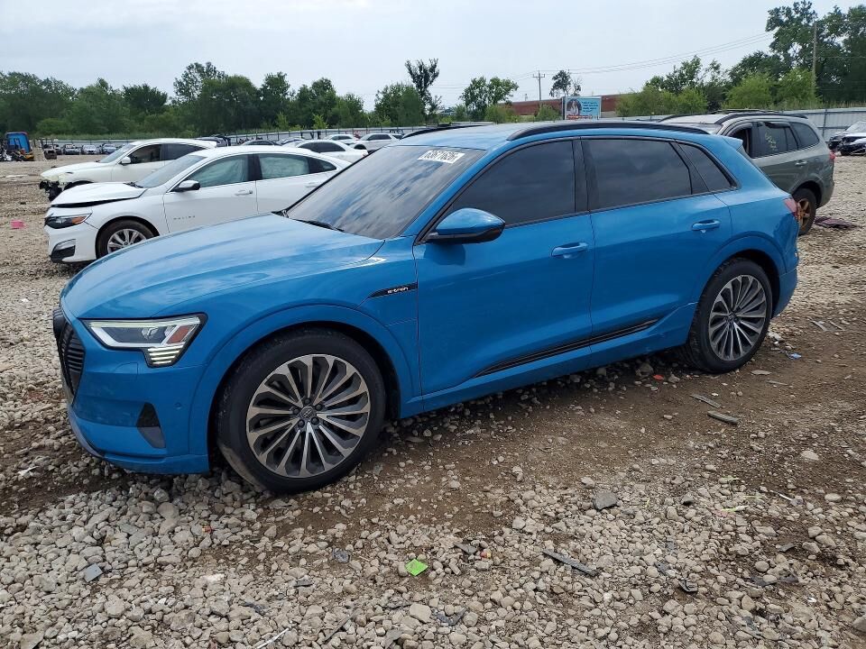 2019 AUDI e-tron