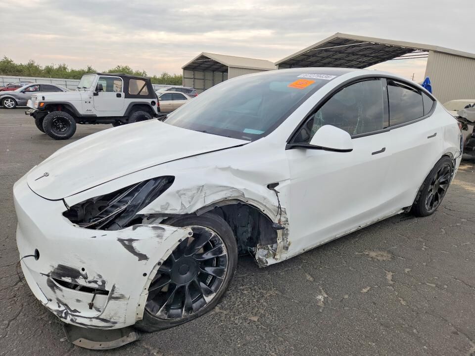 2021 TESLA Model Y