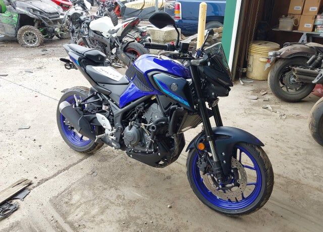 2025 YAMAHA MTN320