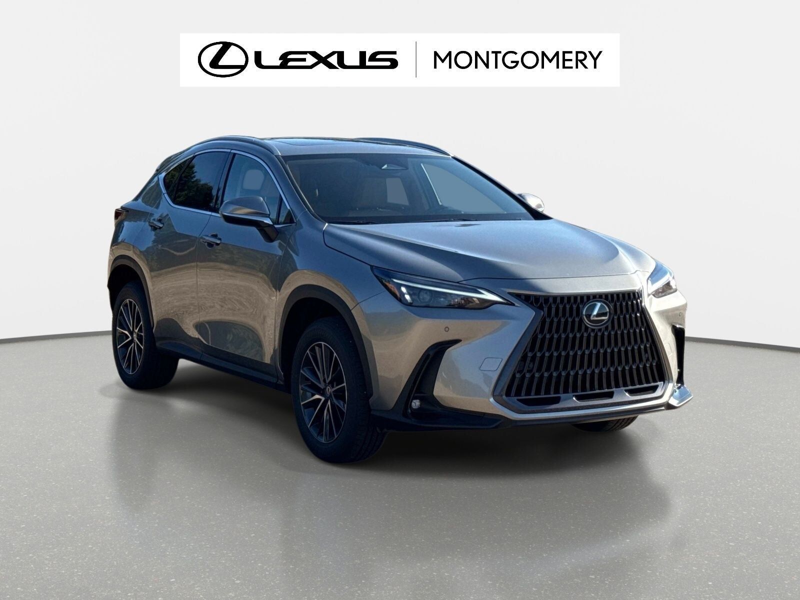 2026 LEXUS NX