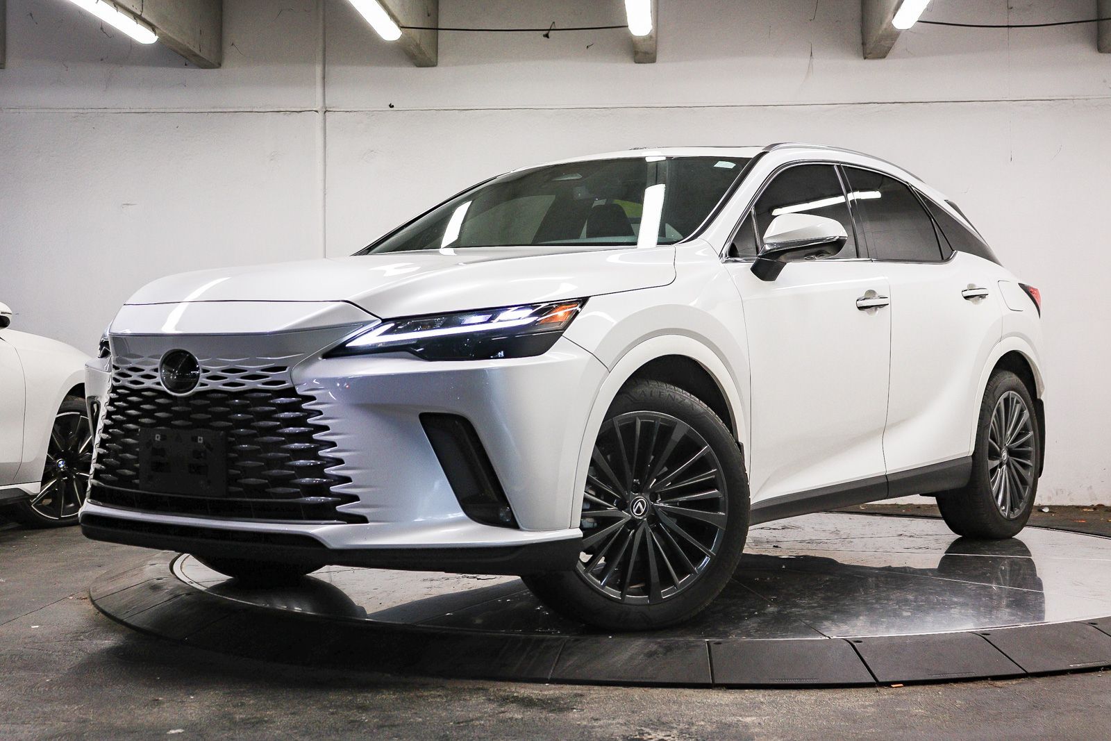 2024 LEXUS RX