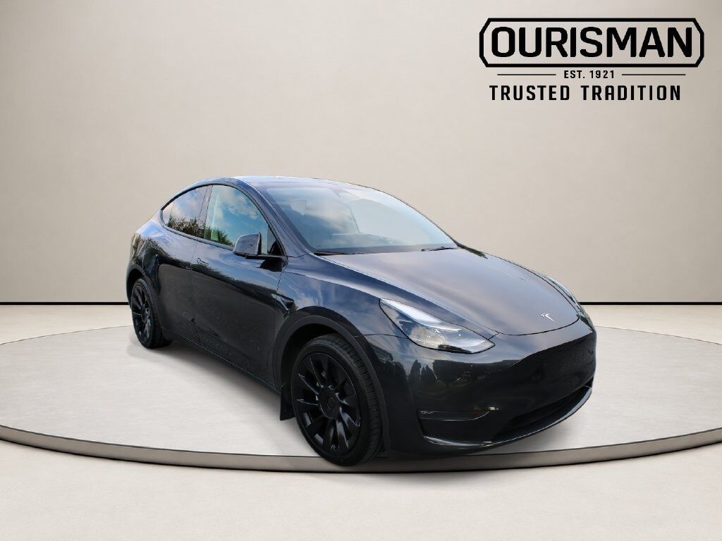 2024 TESLA Model Y