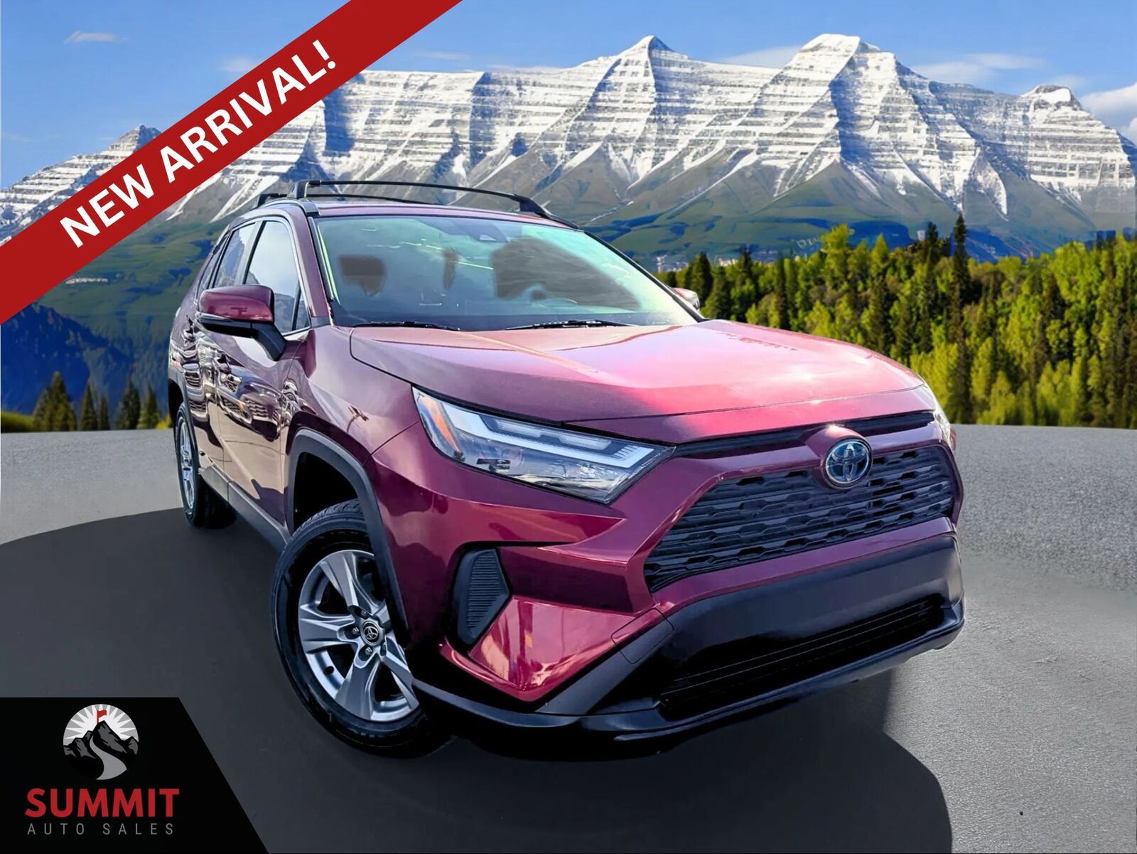 2024 TOYOTA RAV4