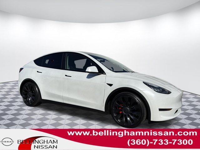 2020 TESLA Model Y