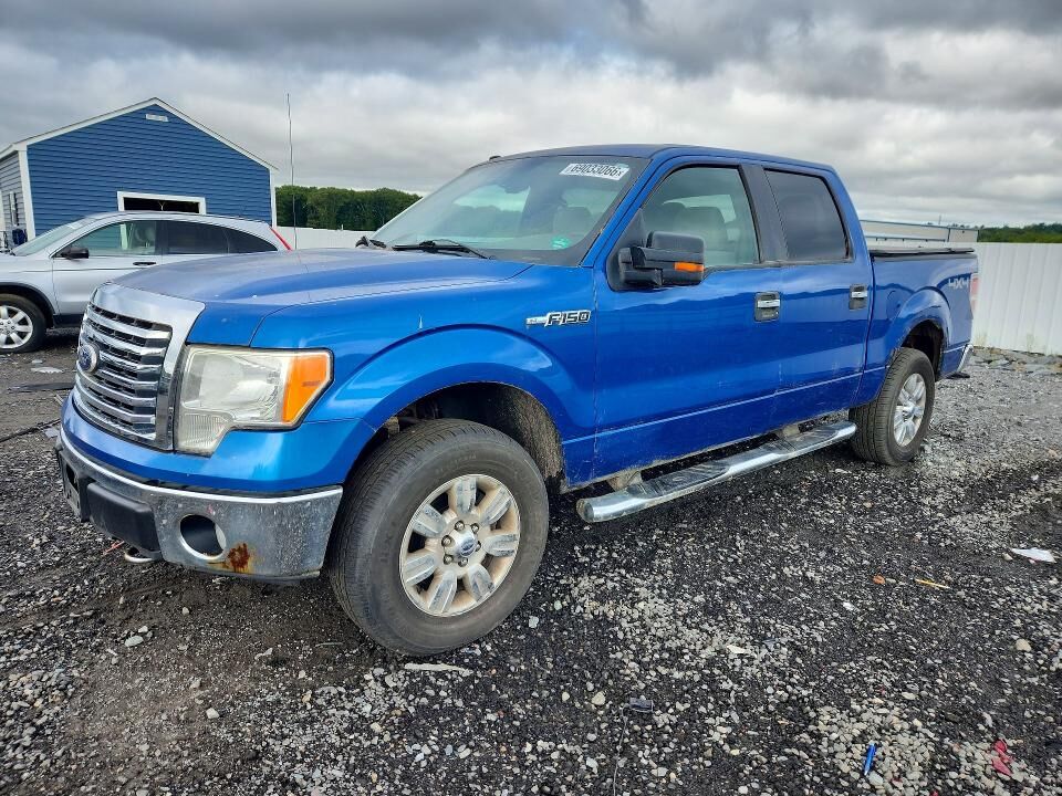 2010 FORD F-150
