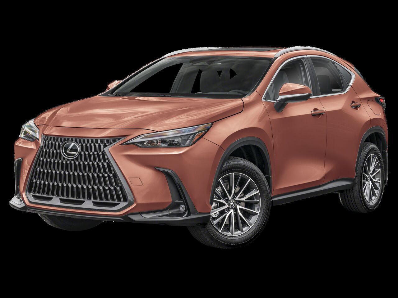 2025 LEXUS NX