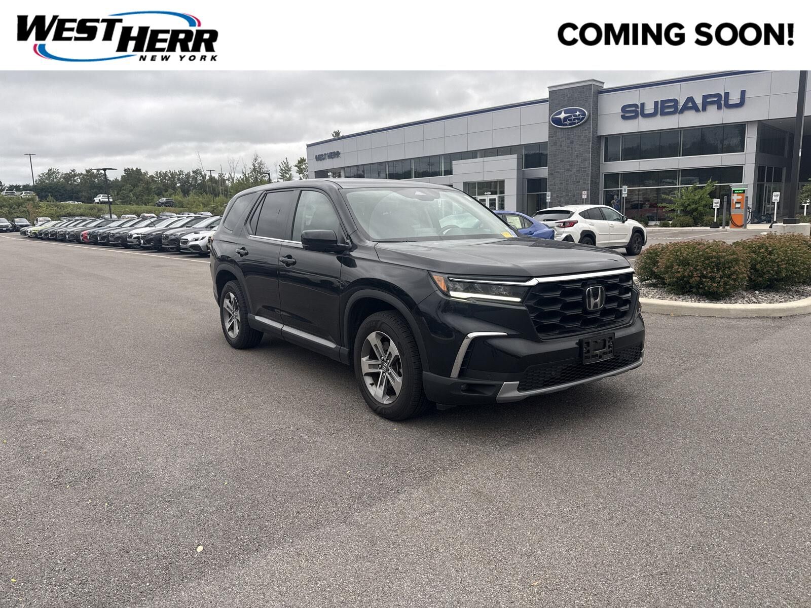2023 HONDA Pilot