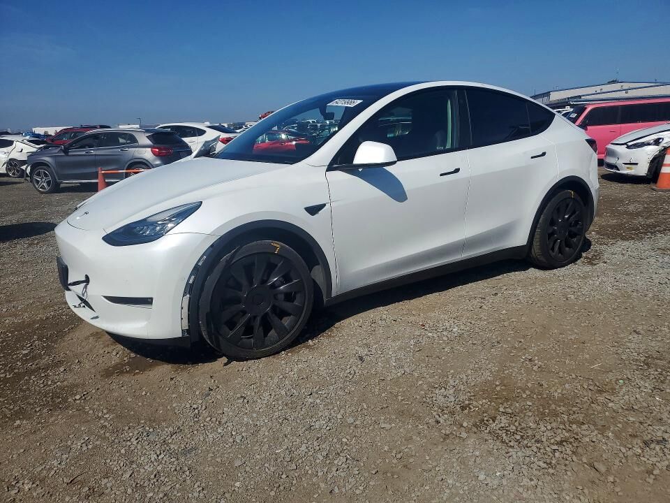 2021 TESLA Model Y