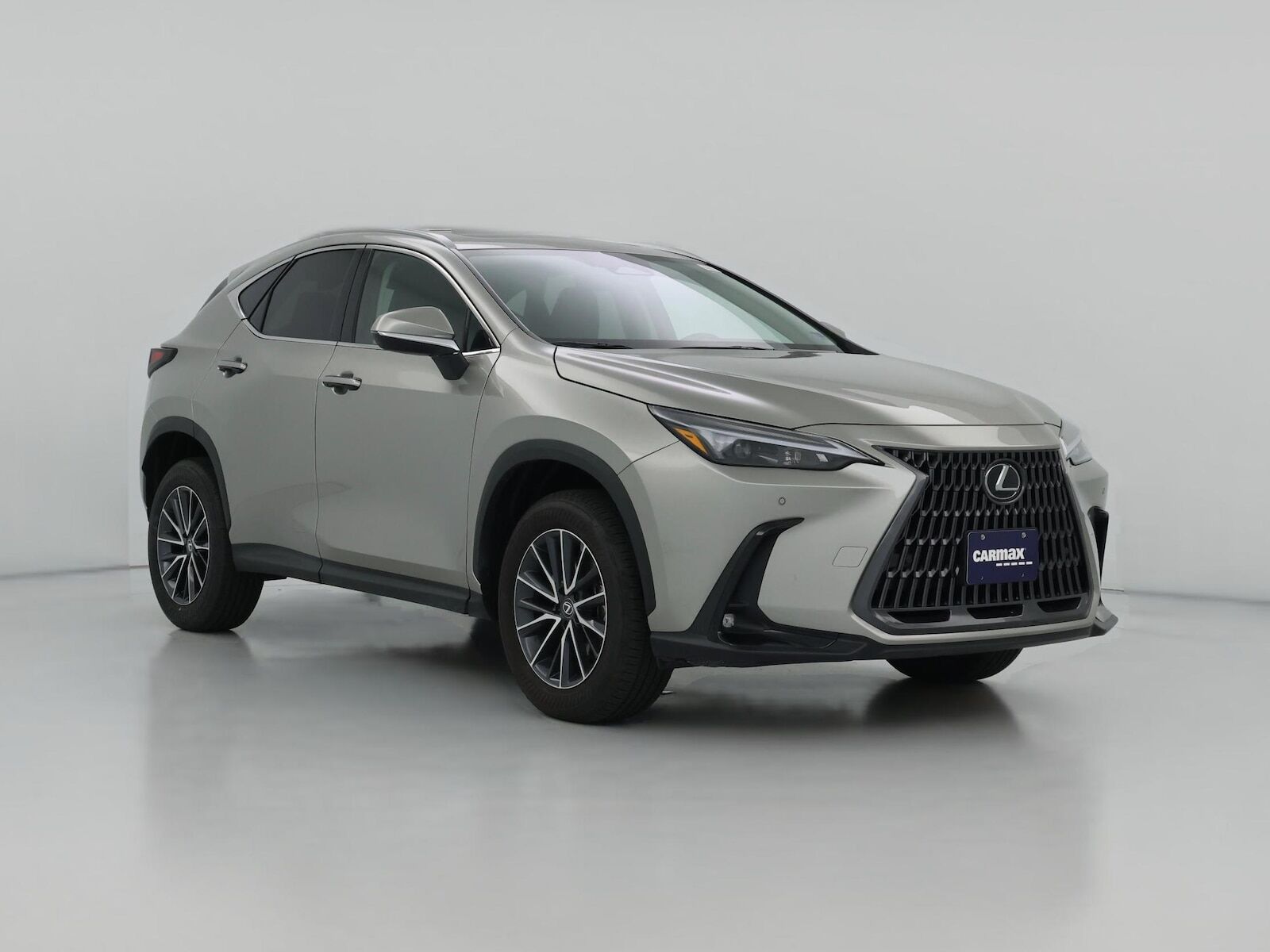 2025 LEXUS NX