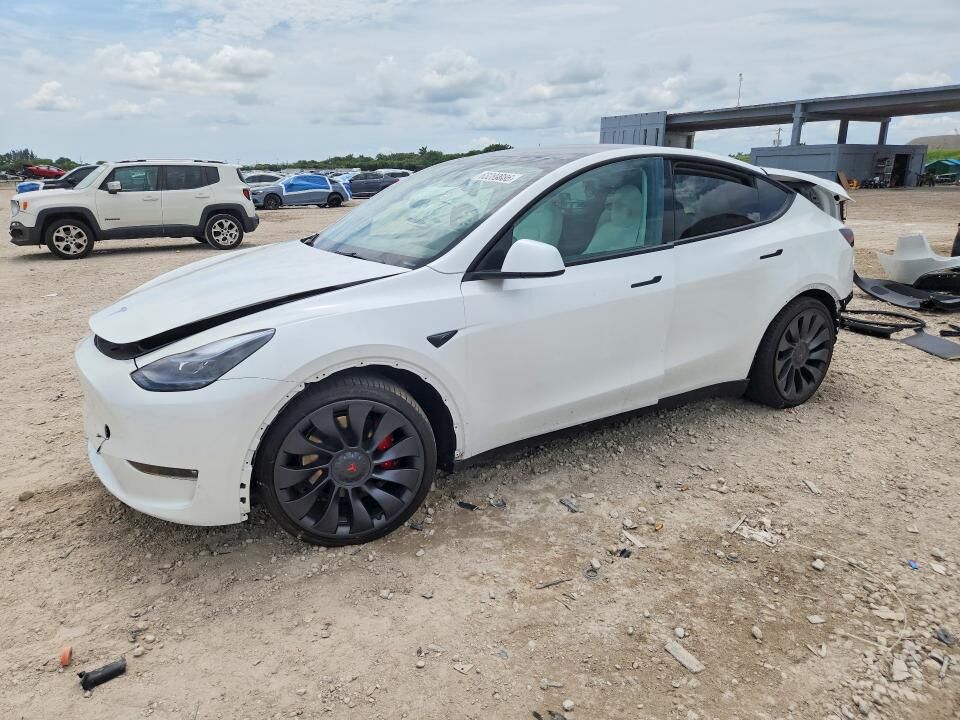 2024 TESLA Model Y
