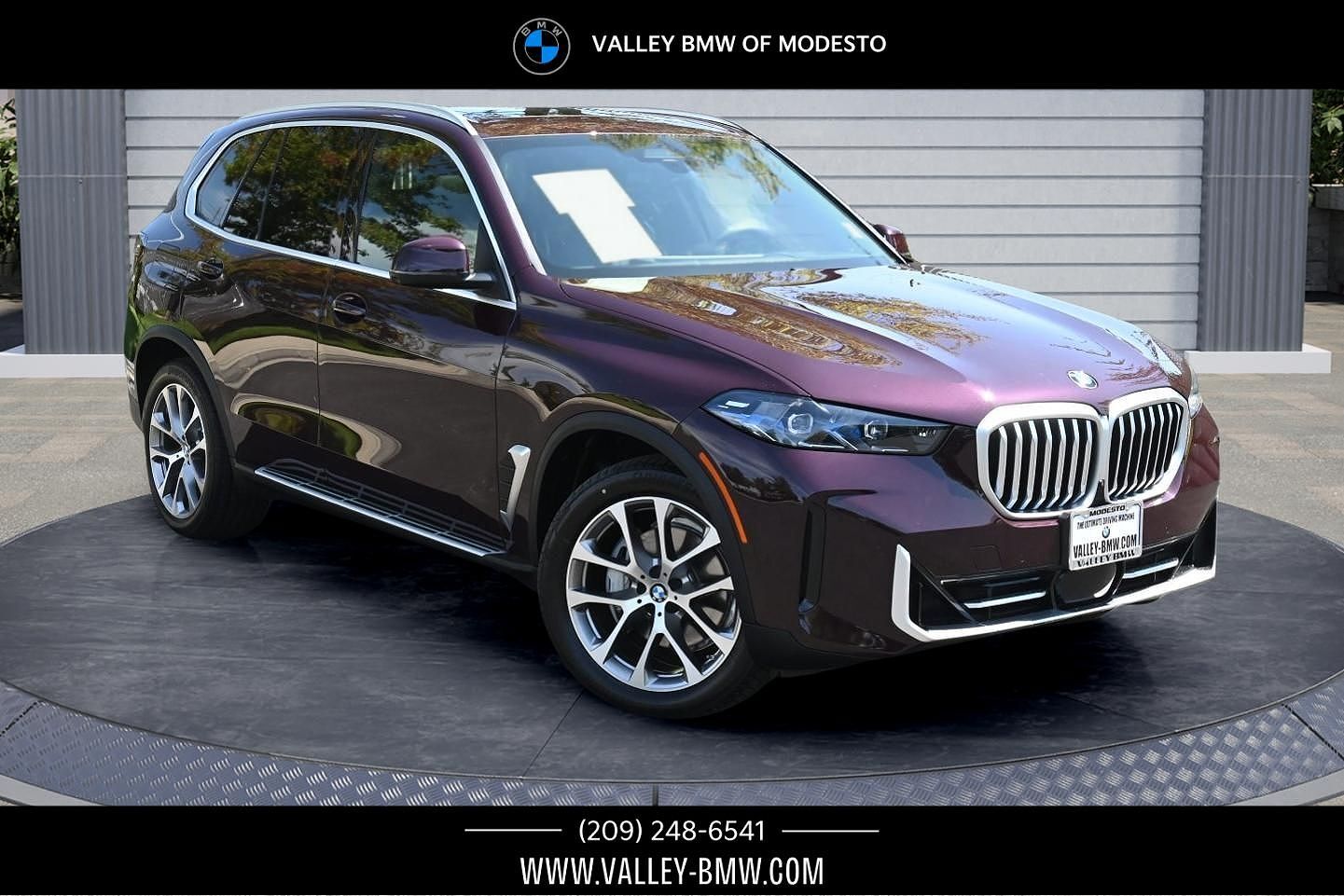 2025 BMW X5