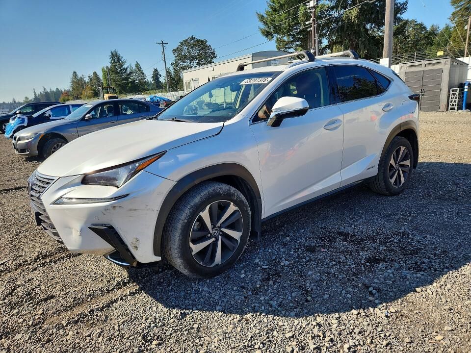2019 LEXUS NX
