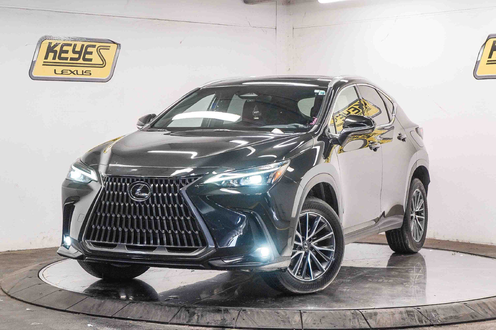 2024 LEXUS NX