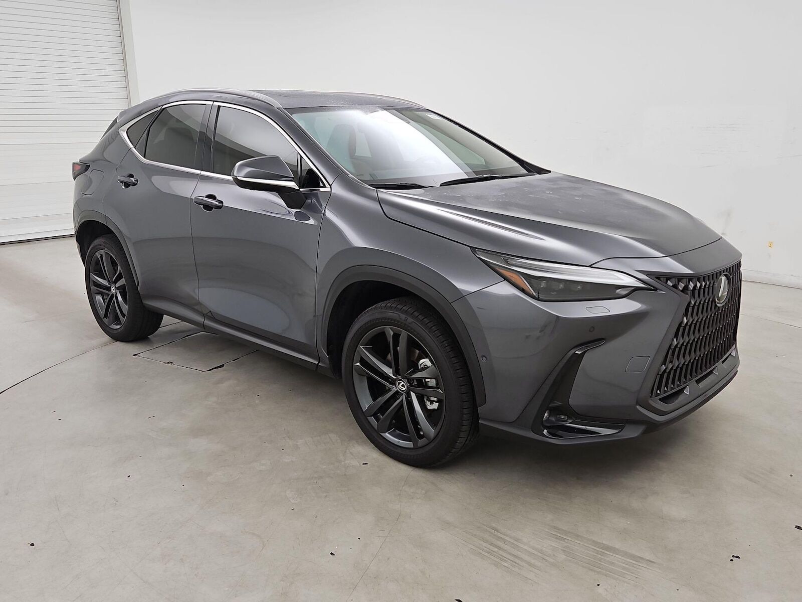 2025 LEXUS NX