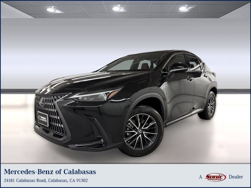 2024 LEXUS NX
