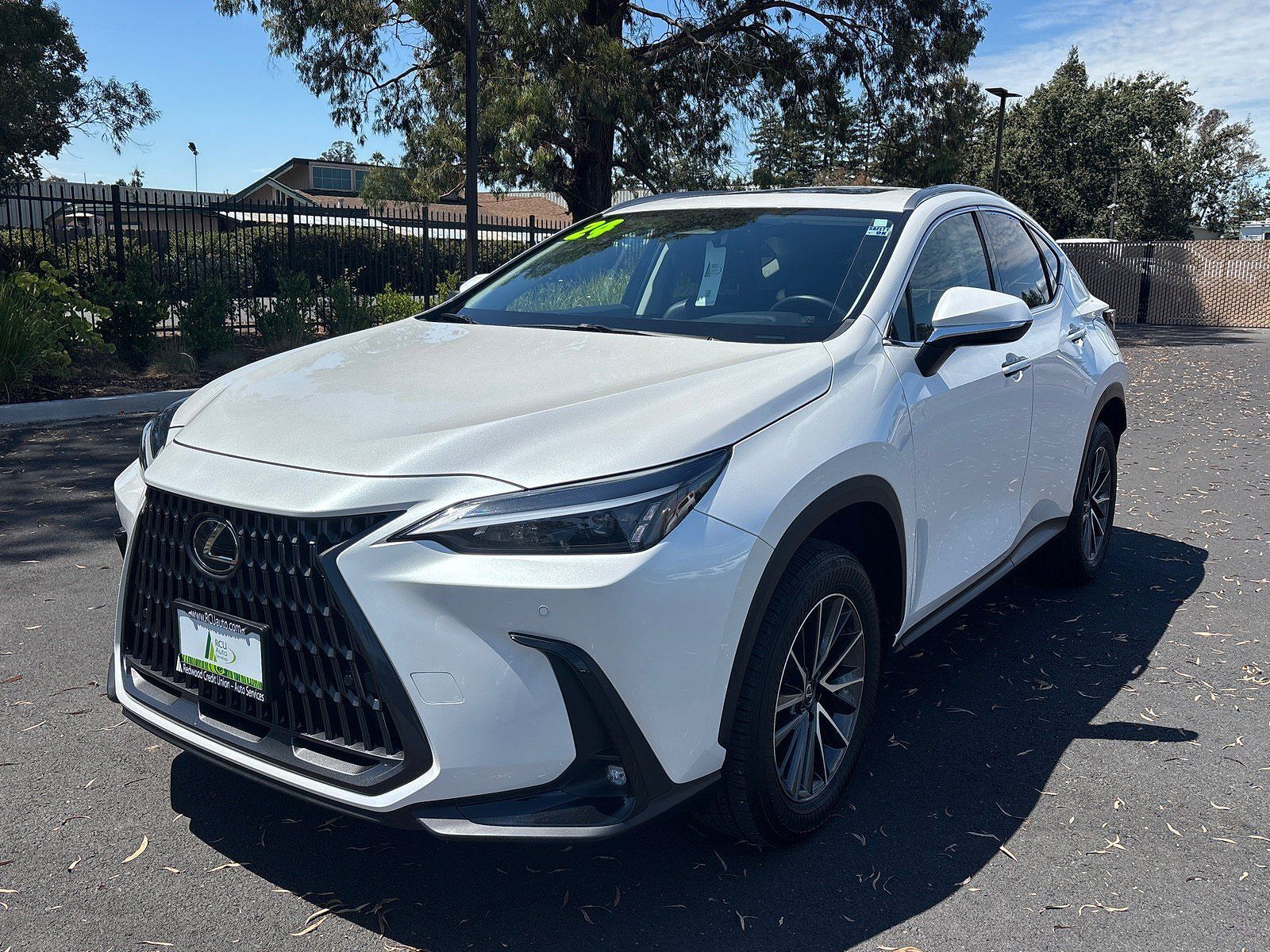2024 LEXUS NX