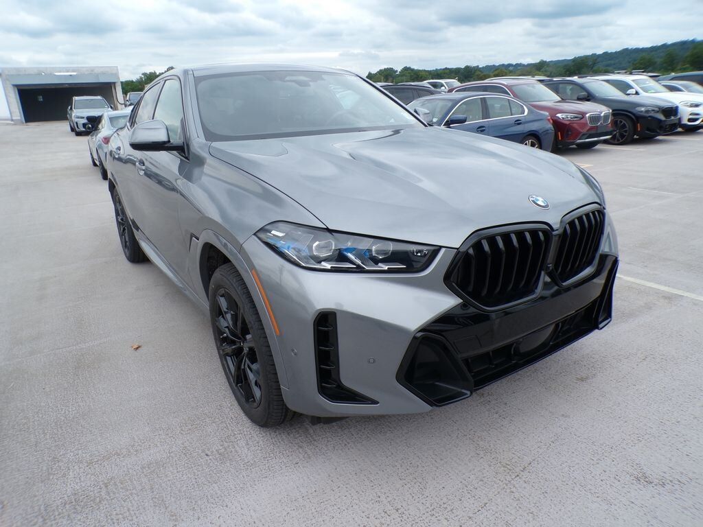 2024 BMW X6