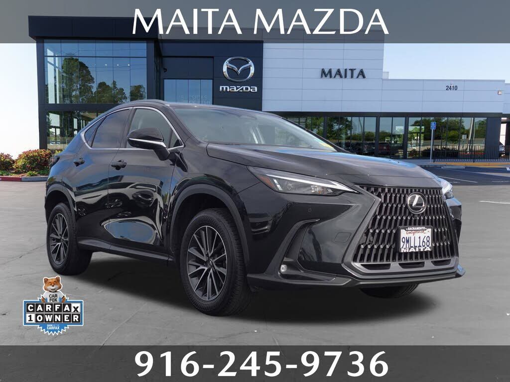 2025 LEXUS NX
