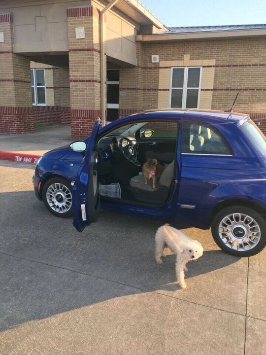 2012 FIAT 500