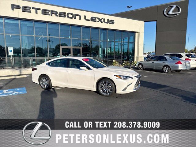 2019 LEXUS ES
