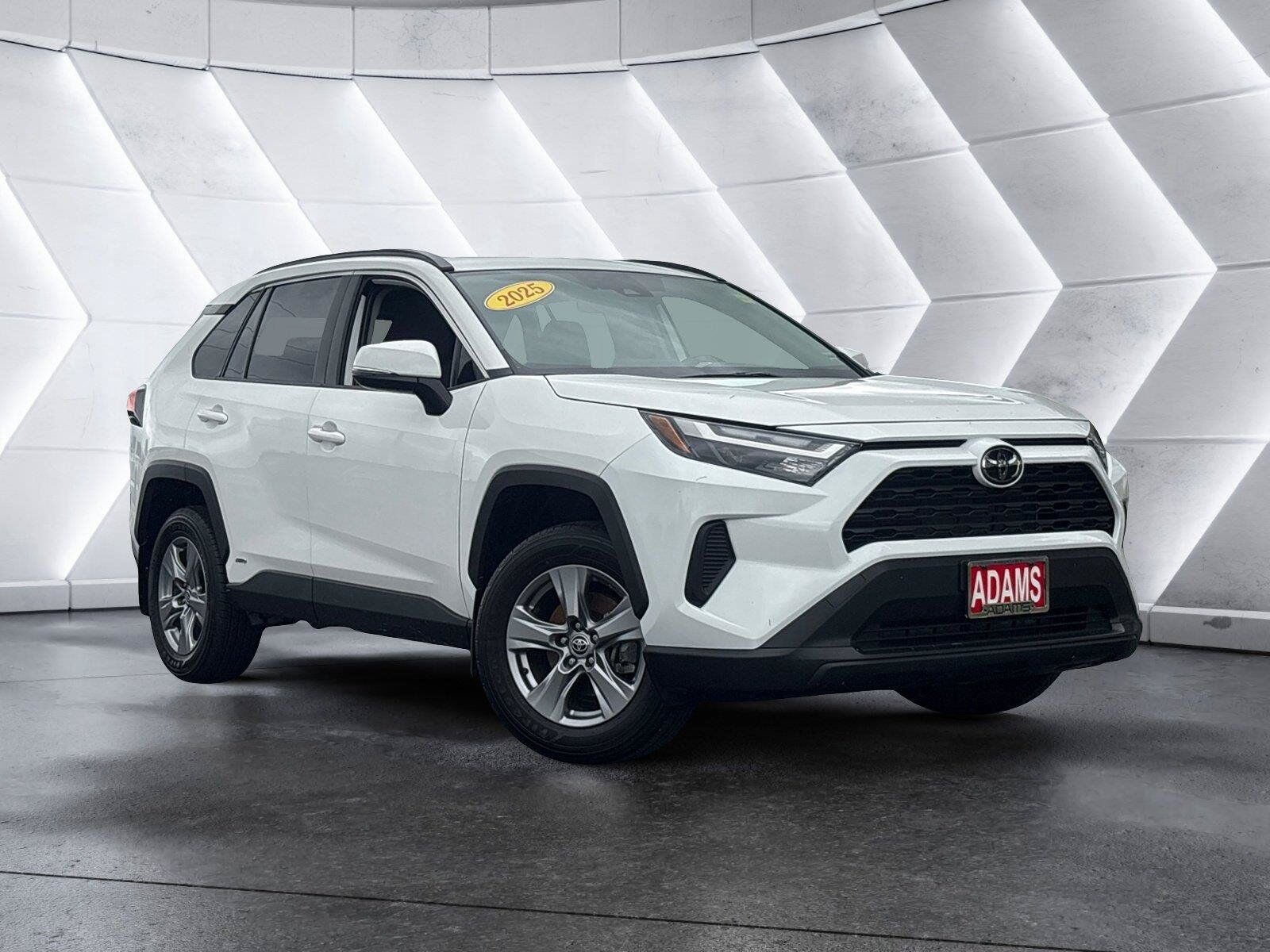 2025 TOYOTA RAV4