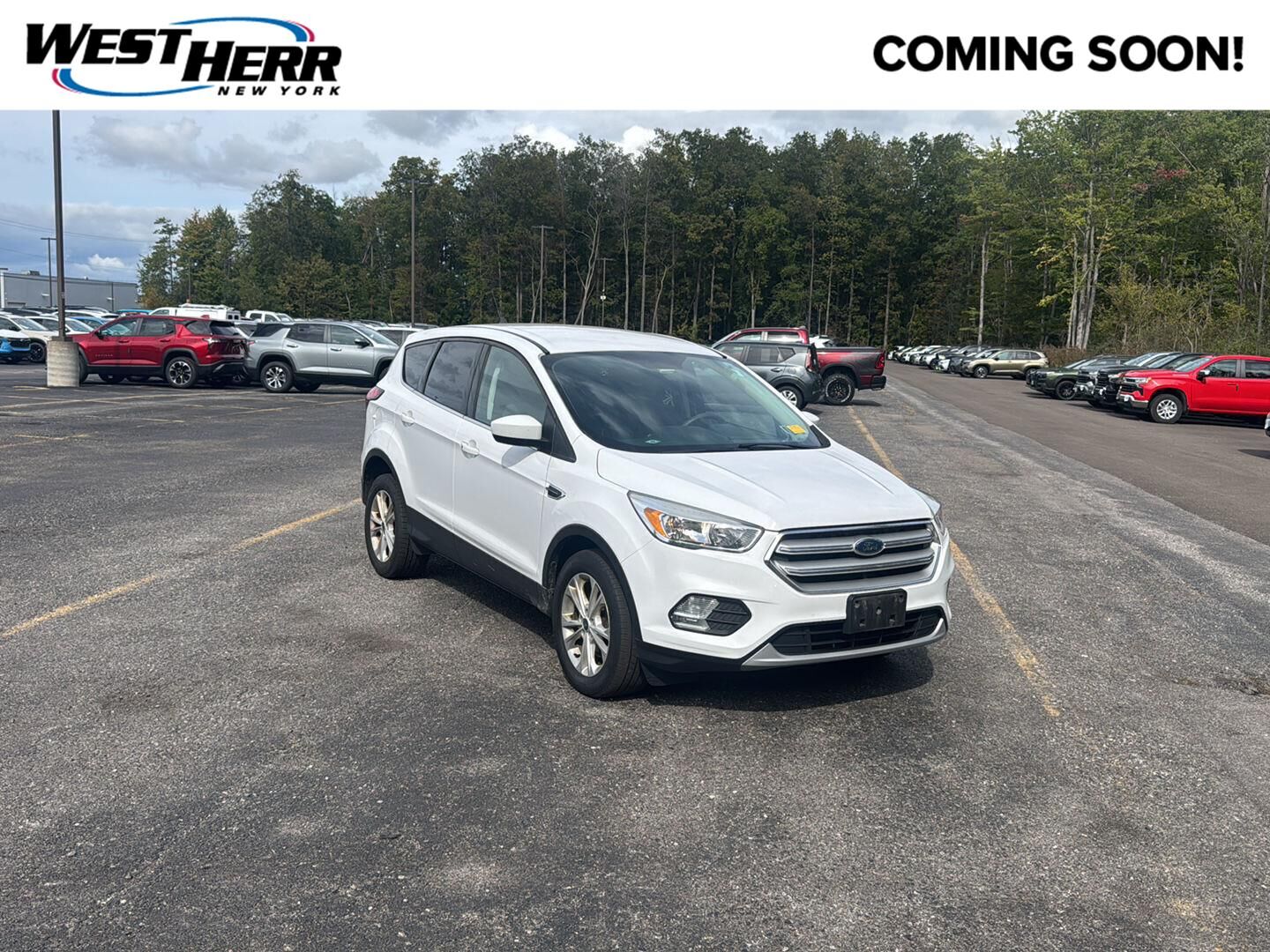 2019 FORD Escape