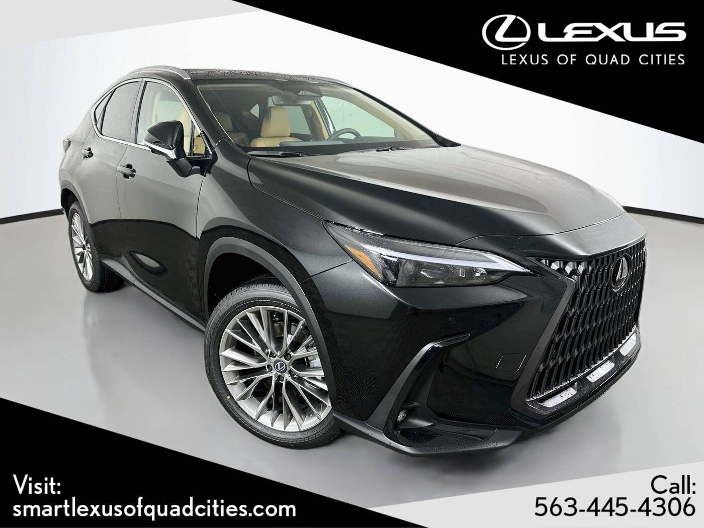 2026 LEXUS NX