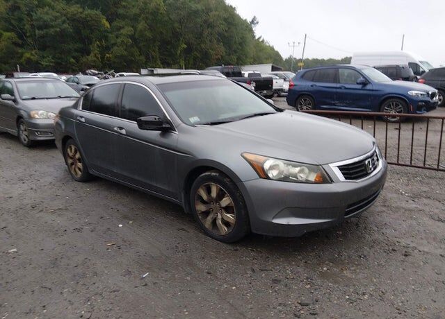 2010 HONDA Accord